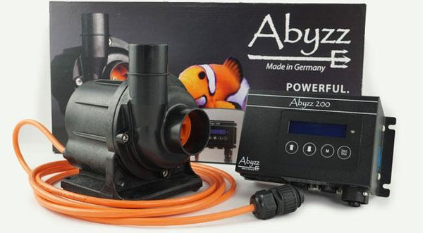 Abyzz Pumps
